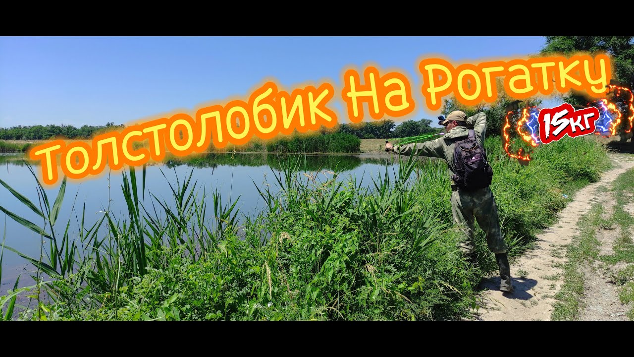 Трофейный Улов На Рогатку: Огромный Толстолобик! #ТрофейныйУлов#РыбалкаНаРогатку#Толстолобик#2024#1m