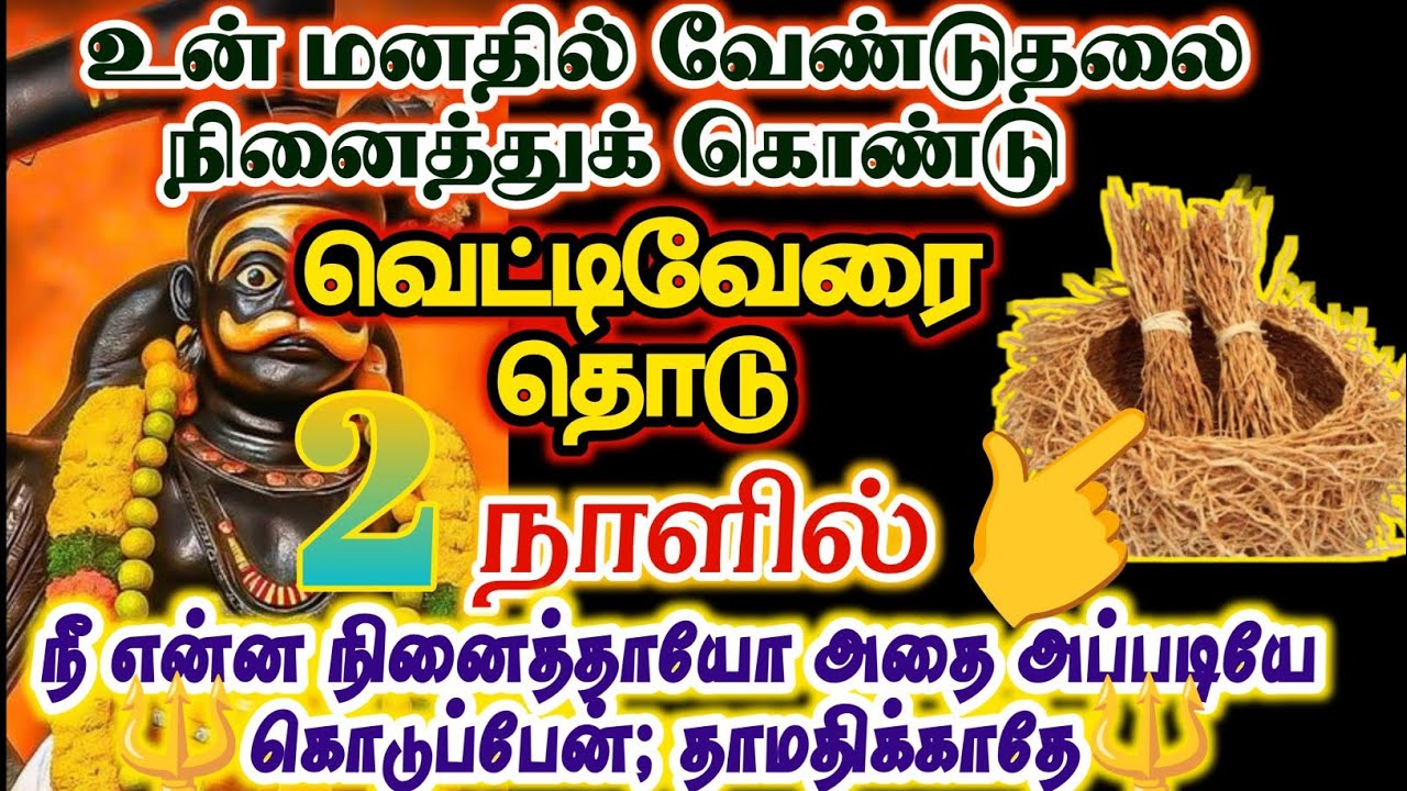 இந்த வெட்டிவேரை தொடு உன் வேண்டுதல் நிறைவேறும்/#karuppan/#deivavaakku /#deivaprasannam 