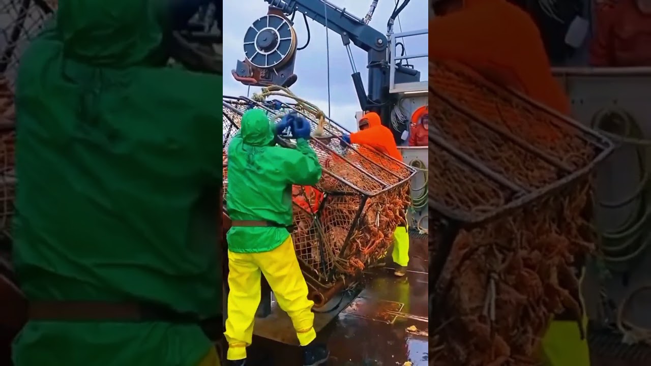 Surviving the High Seas: A King Crab Fishing Expedition in Alaska #shorts