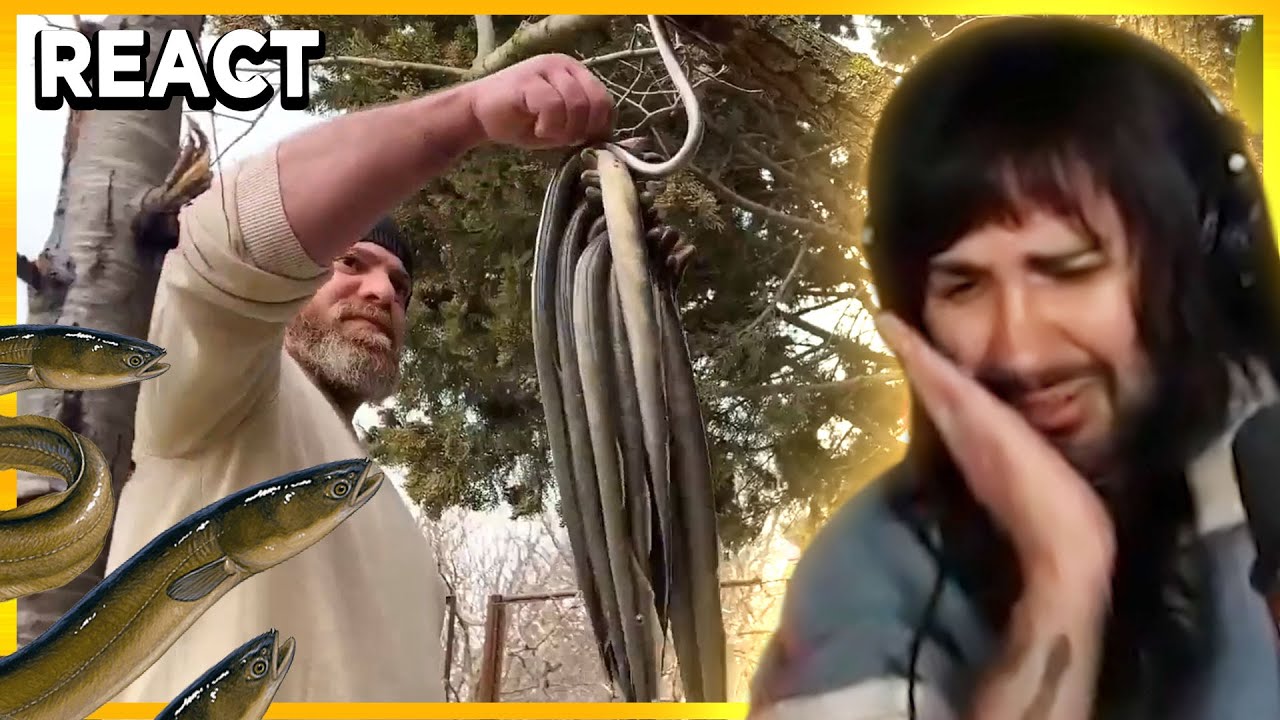 O DADDY SERVIU ENGUIA🐍🫢 | React - Samira Close