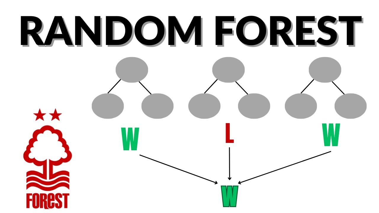 How AI Predicts Football Matches (Random Forest)