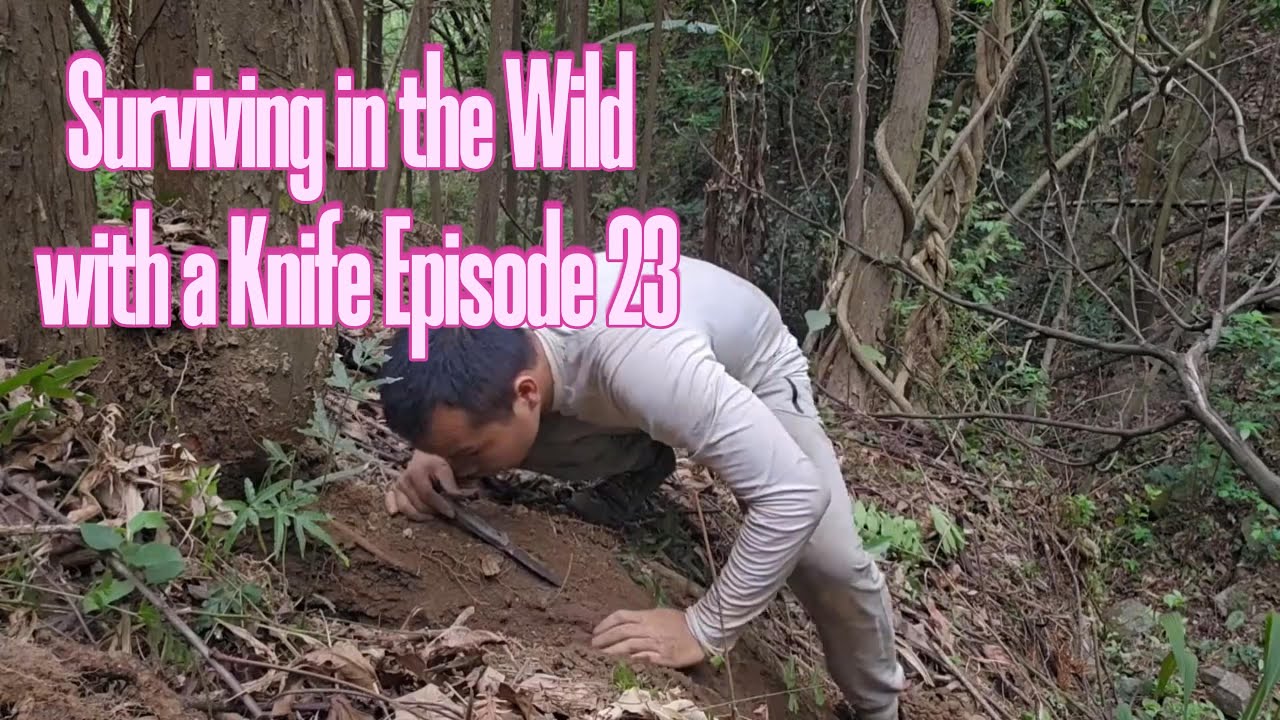 Surviving in the Wild with Only a Knife | Episode 23: Wall & Stove Completed, Food Found