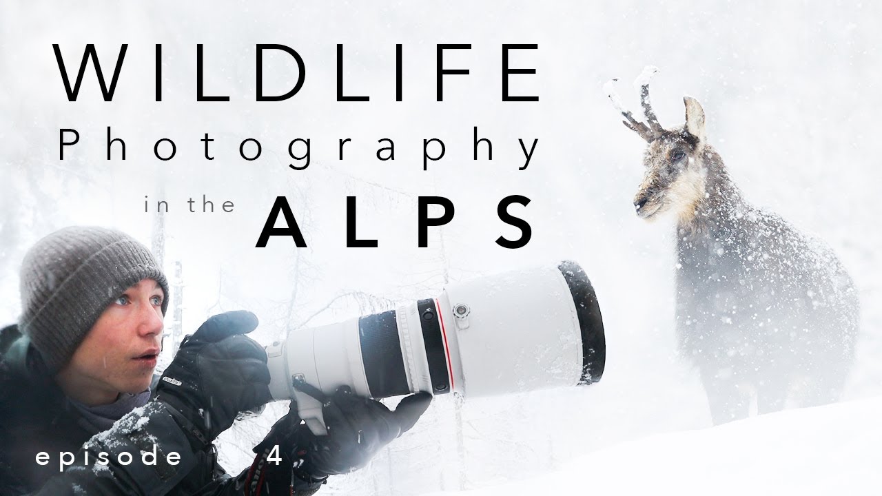 A Magical Meeting in the Winter Woods ⎸ ALPS - ep. 4
