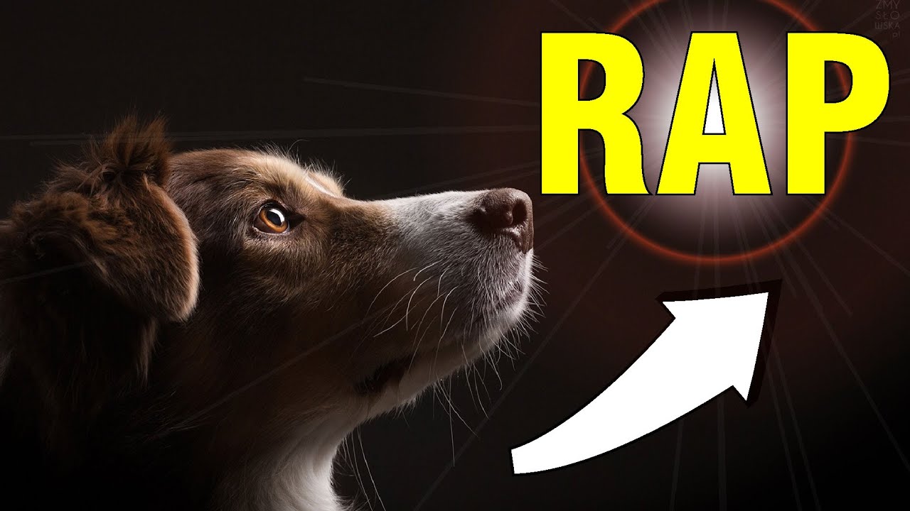 Los Perros van al CIELO | RAP (El Tuyo También 🐕)