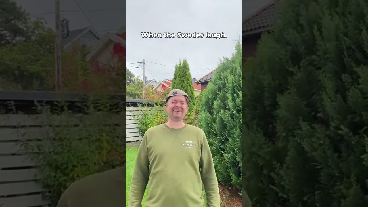 Когда норвежцы, шведы, датчане и финны смеются