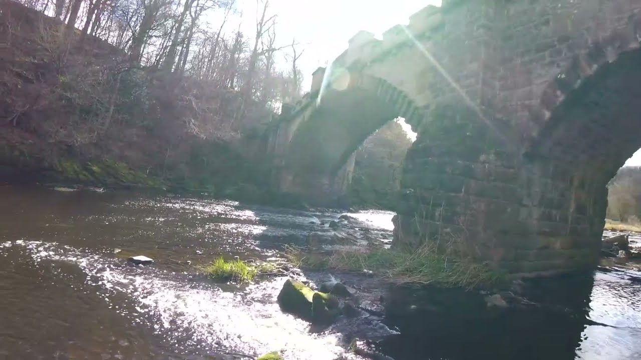Almondell & Calderwood Country Park