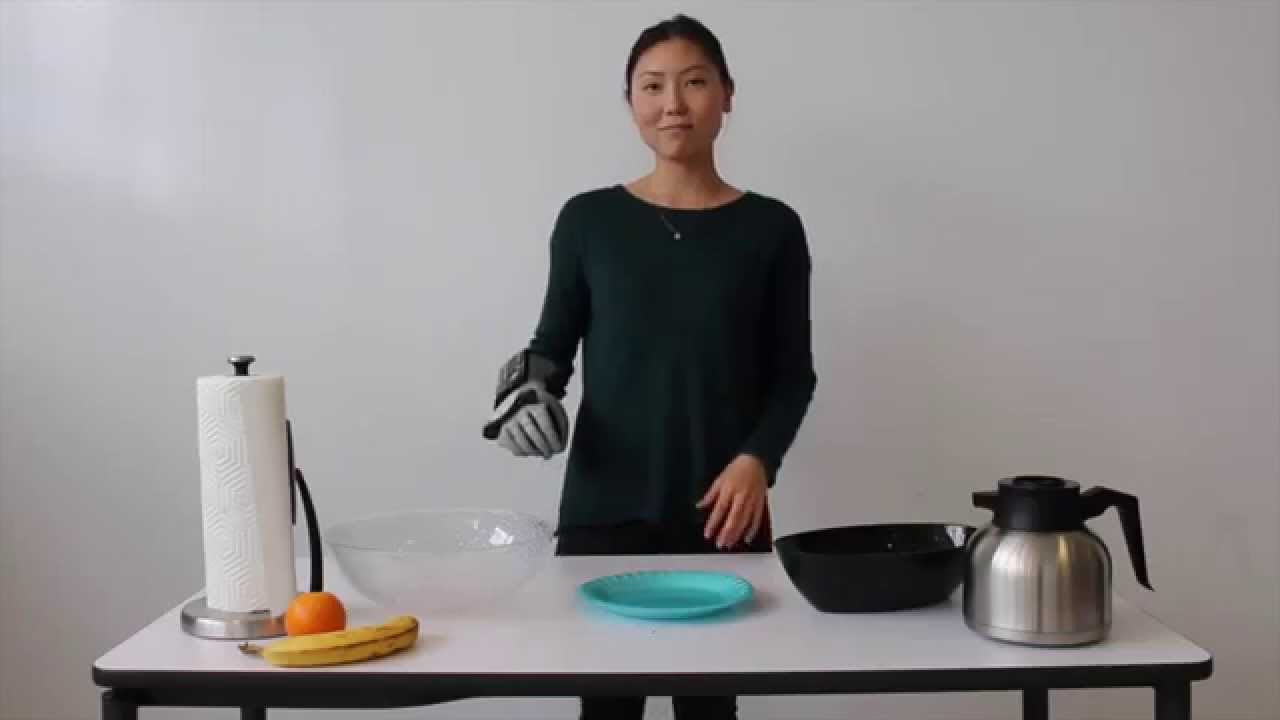 Home Harvest! Creating a World Without Food Waste