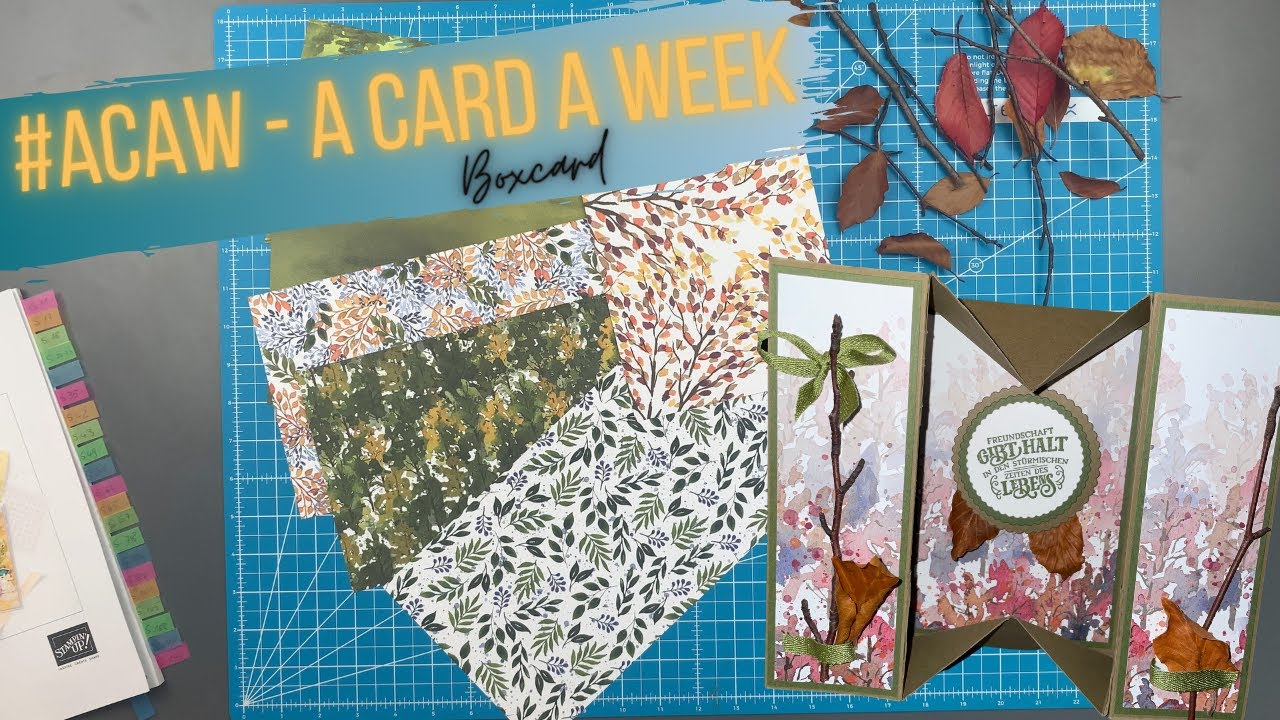 Passt Stampin' Up! und Basteln mit Naturmaterialien? DIY Box Card Schöne Natur Anleitung
