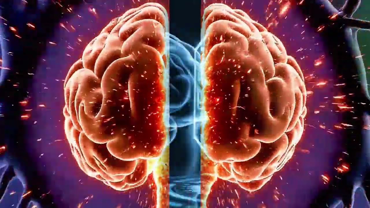 Amigdala Nedir? | Beynimizin Korku ve Duygu Merkezi (Bilimsel Animasyon)