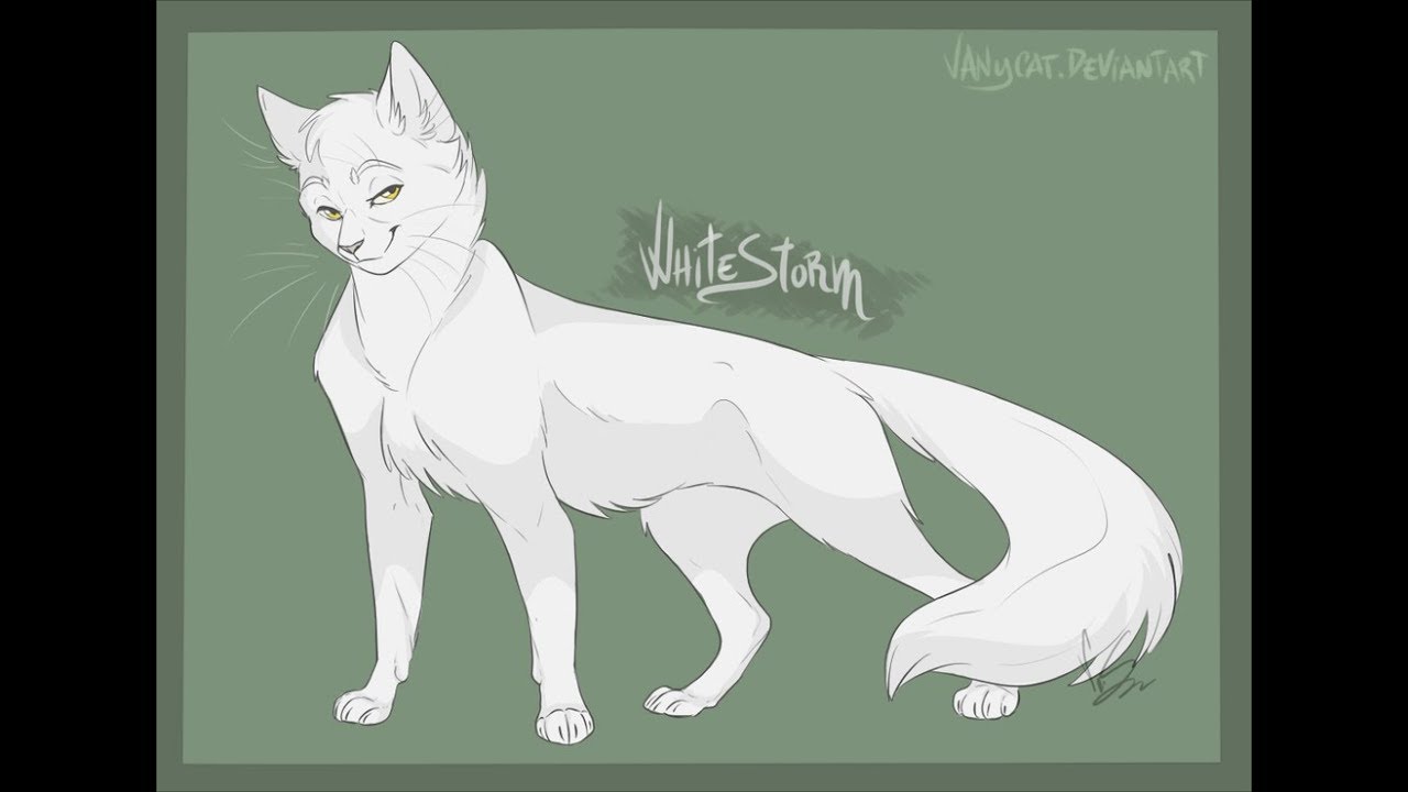 Top Ten Warrior Cat Deputies That Should've Become Leaders