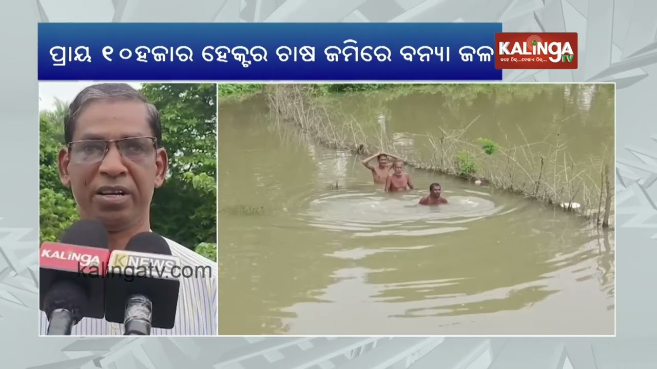 Water level of Salandi River lowers than danger mark in Bhadrak district | Kalinga TV