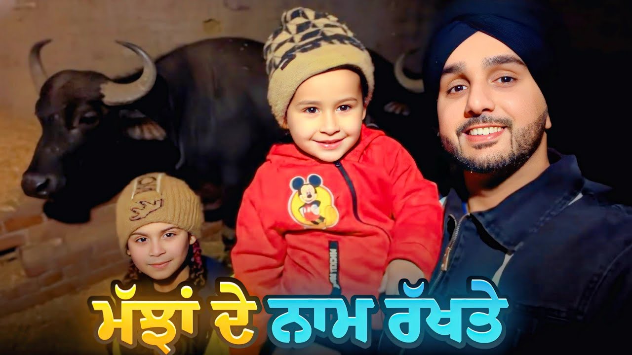178 ☆  ਮੱਝਾਂ ਦੇ ਨਾਮ ਰੱਖ ਦਿੱਤੇ - ( ਤਾਰੋ, ਦੇਬੋ, Britany ) 🐃 🐃 