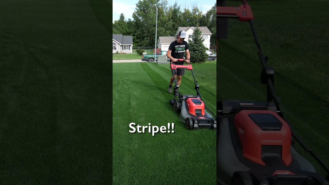 Lawn Striping Like A PRO With A Push Mower 