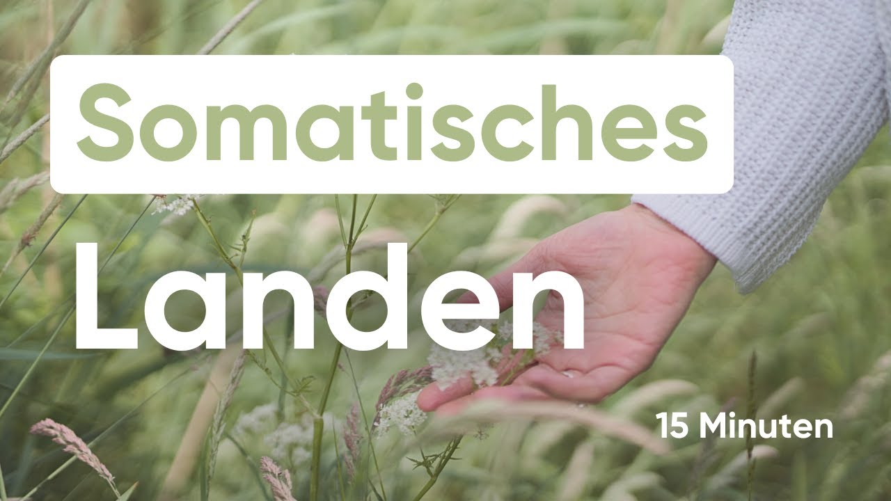 Somatisches Landen | Eine Einladung zum Innehalten und Ankommen im Körper | 15 Min.