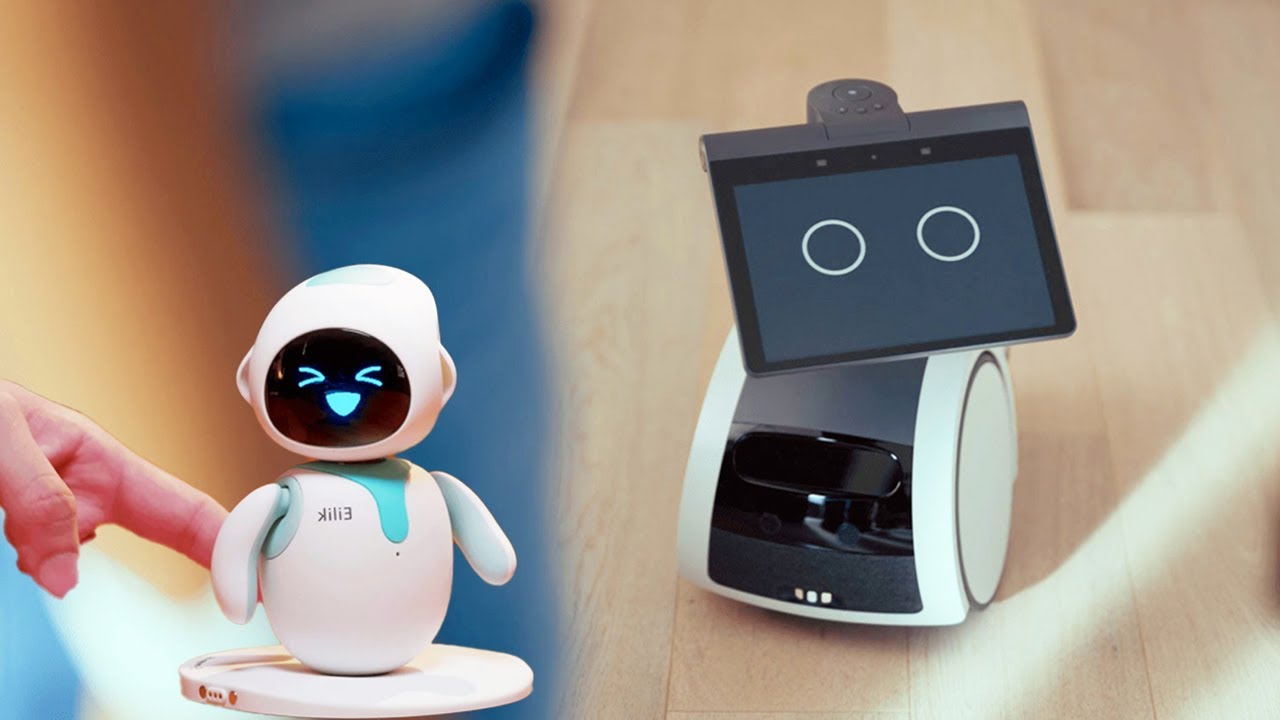 5 Best Personal Robots You Can Buy In 2024