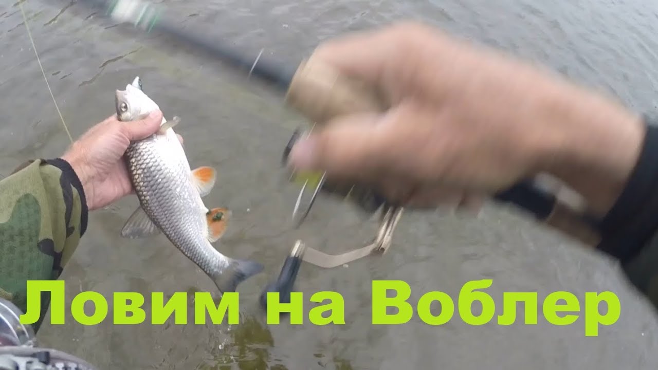 Ловим на Воблеры! 