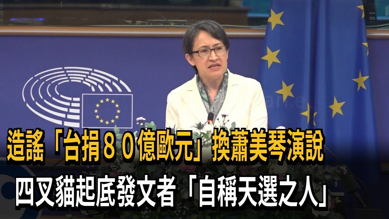 造謠「捐80億歐元」換蕭美琴IPAC演說 四叉貓起底發文者－民視新聞