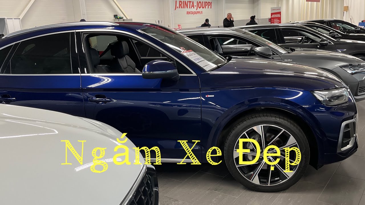 Cuộc Sống Phần Lan🇫🇮.Đi Các Hãng Xe Chọn Lựa Xe. Có Rất Nhiều Xe Đẹp Để Ngắm . Mua Xe Nào Cho Họp 