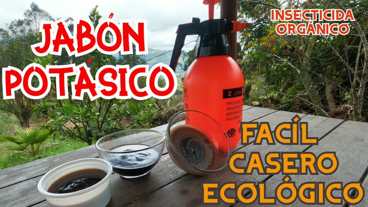 JABÓN POTÁSICO / INSECTICIDA ORGÁNICO / JABÓN DE CENIZA / MÉTODO CLÁSICO CASERO /PASO A PASO