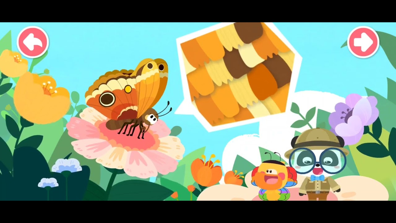 Babybus Panda Kids Science| Butterfly Animal Champion ‎@qiatqiattv4221 