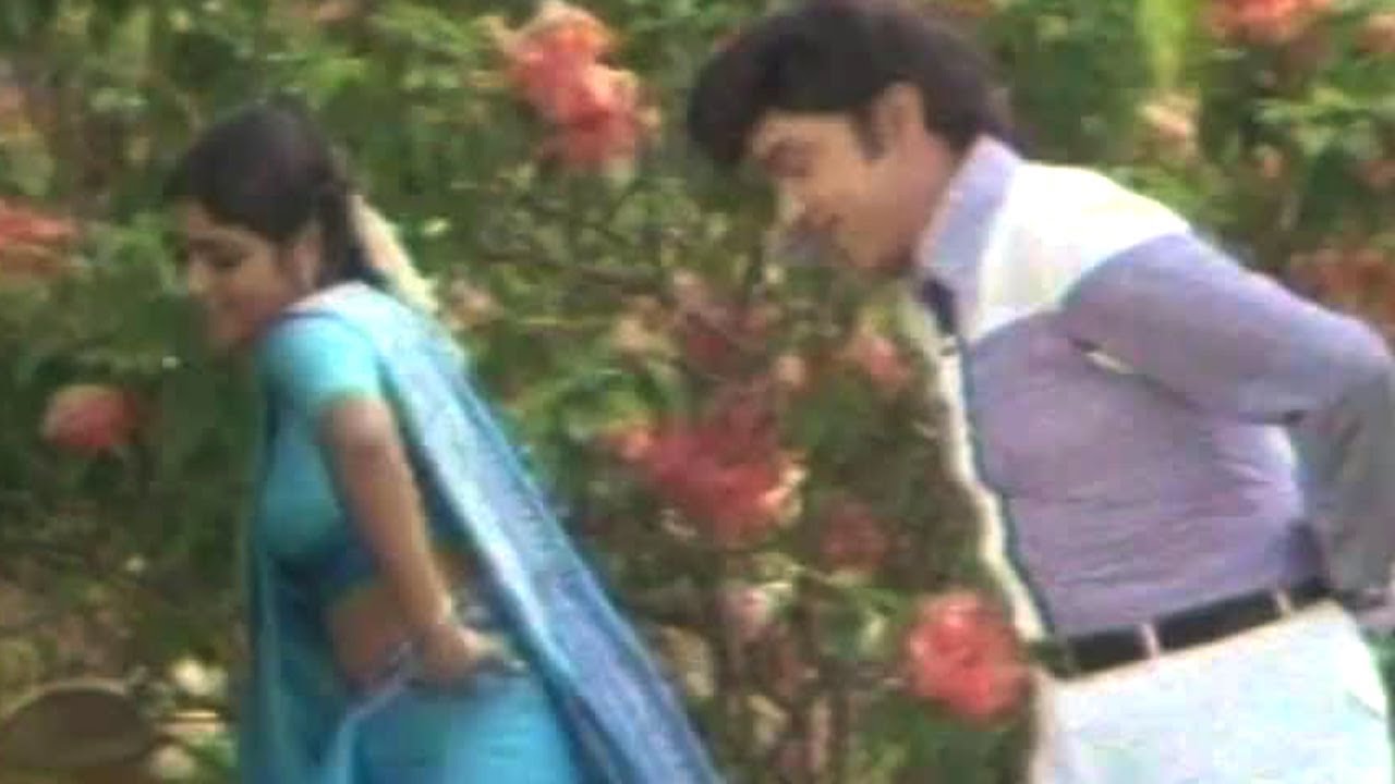Gopala Krishnudu Songs - Gnapakam Unnadha - Akkineni Nageshwara Rao, Jayasudha - HQ