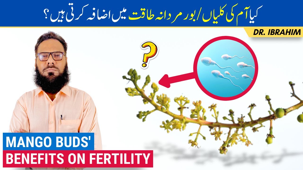 Aam Ke Baur Ke Fawaid! Mango Buds/Flower Benefits On Fertility! Mardana Kamzoori/Banjhpan Urdu/Hindi
