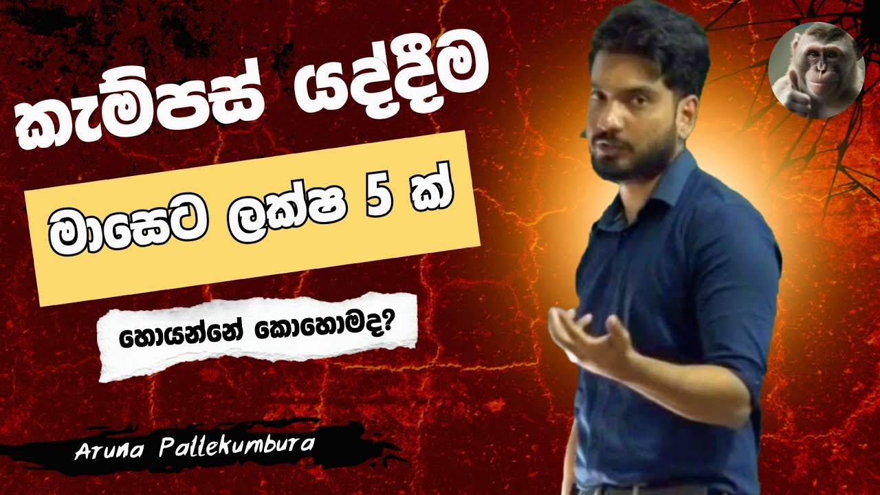 කැම්පස් ගිහින් ඩිග්‍රිය ගන්නත් කලින් මාසෙට ලක්ෂ 5 ක පඩියක්‌ ||@arunapallekumbura 