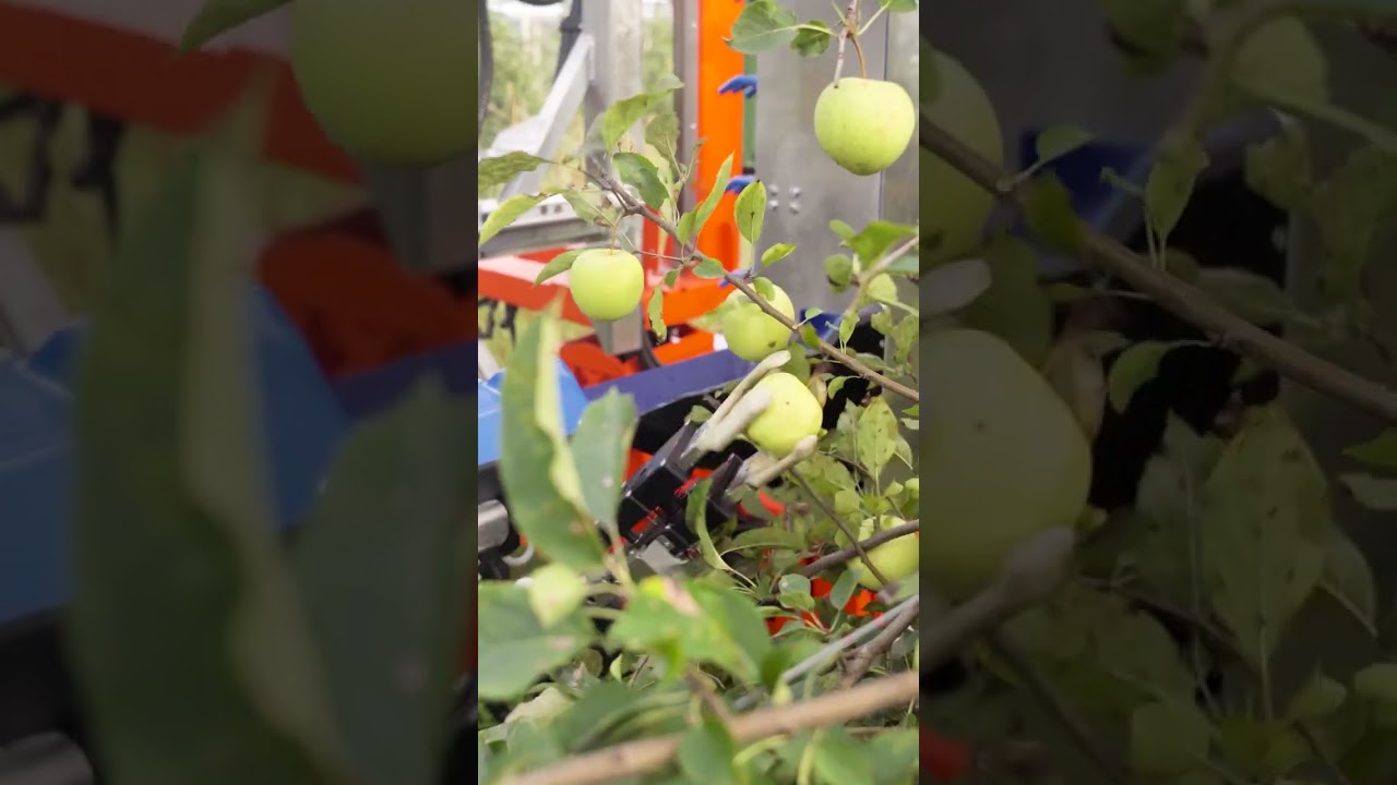 Fruit Picker | Slopehelper robot by PeK Automotive 🍎