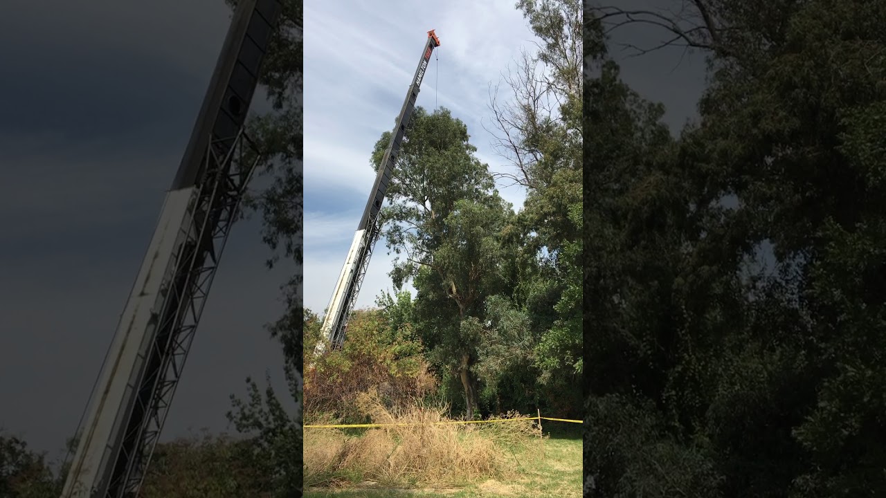 Arbor fest west 2017