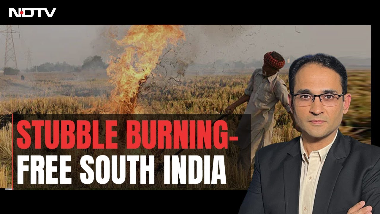 Why Cities In South India Breathe Better Air | The Southern View