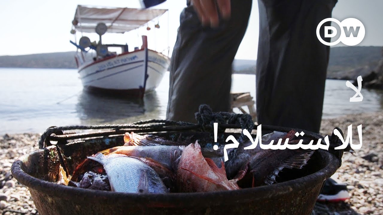 وثائقي | اليونان - صغر الأسماك مصدر قلق كبير| وثائقية دي دبليو