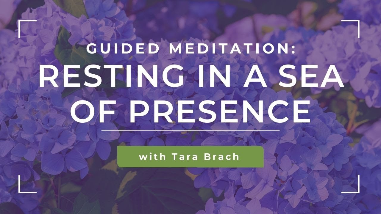Guided Meditation: Resting in a Sea of Presence with Tara Brach