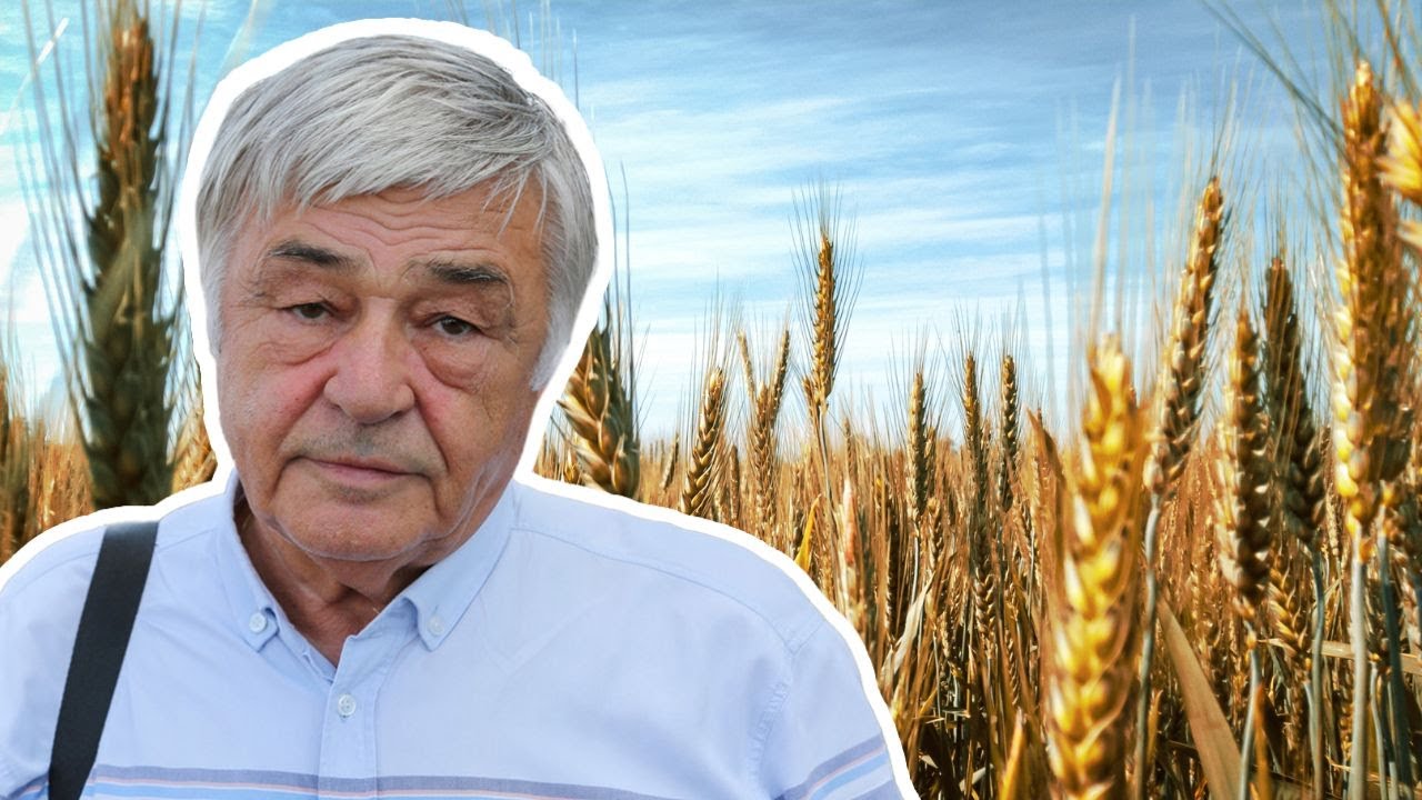 Dimitrie Muscă: 