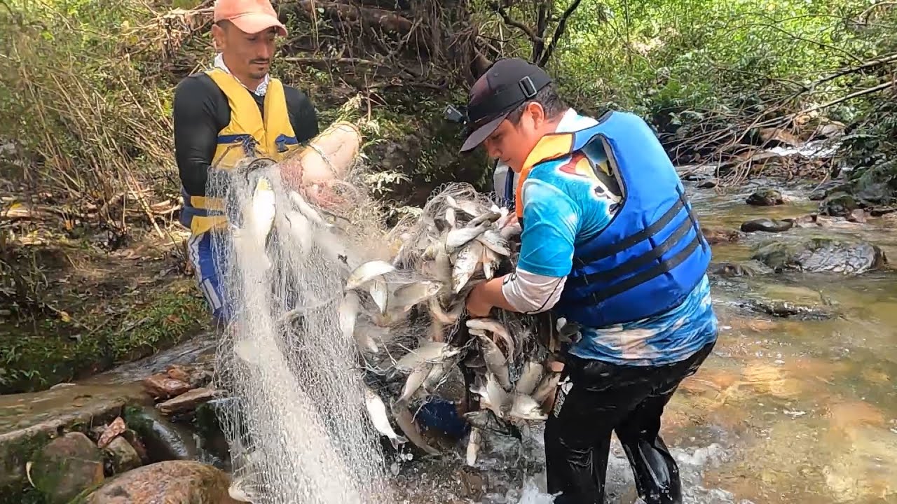 207 pescados en 10 minutos , Pesca en los chorros del rio Caquetá.