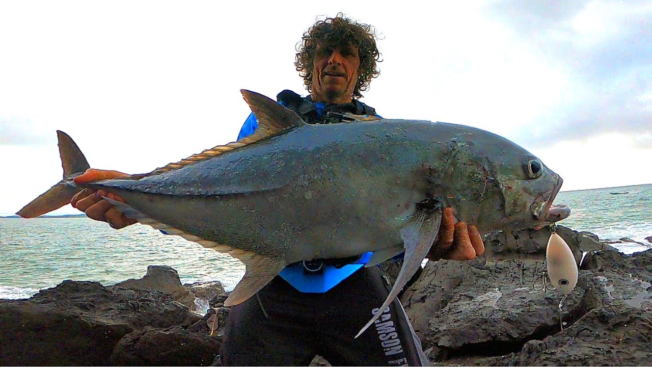 Shore Fishing With Lures - Central America Series Targeting Big Rooster fish Pt 2