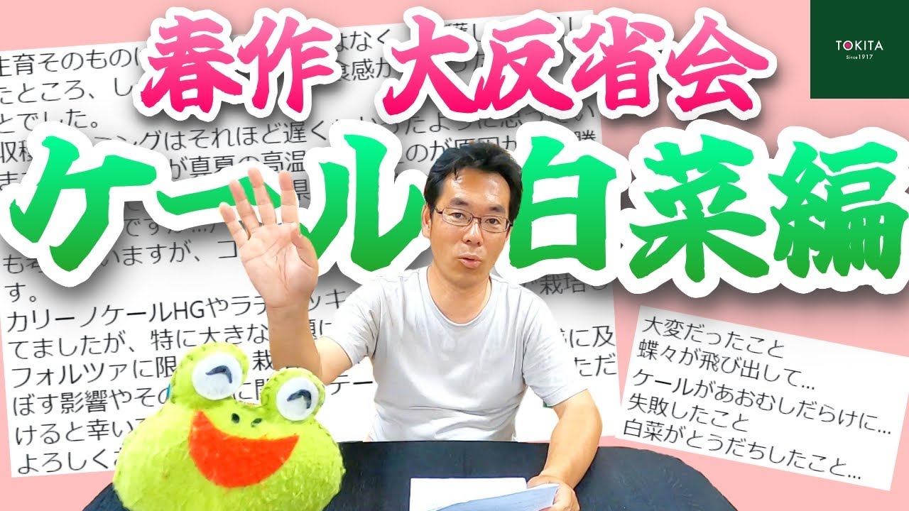 【家庭菜園】春夏の栽培 お悩み解決！ケール・白菜編【食感・防虫・抽苔】