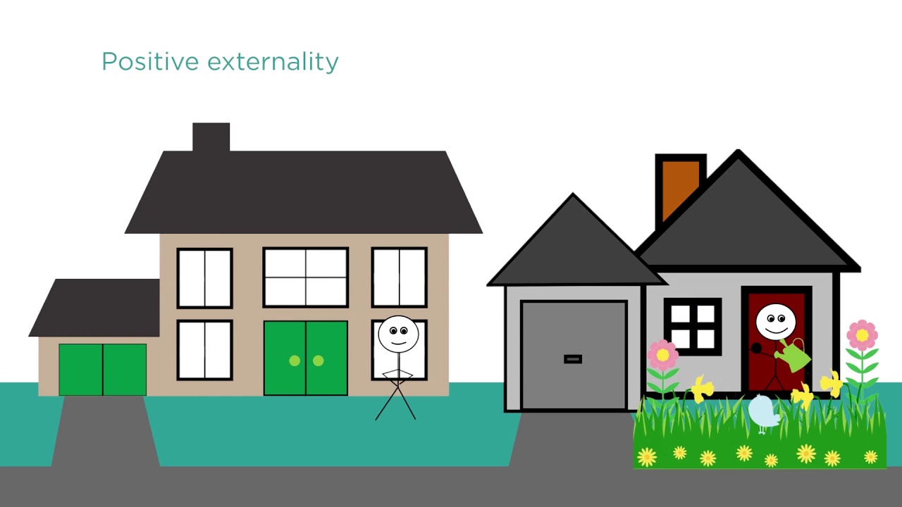 6.3 Market Failures and Externalities
