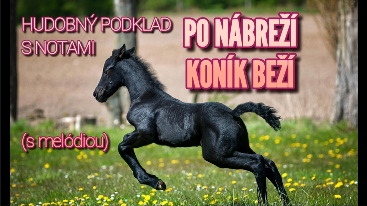 🐎 Po nábreží koník beží – Hudobný podklad s notami 🎹🎻 (s melódiou)