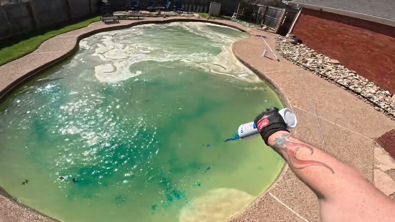 POV Green to Clean Pool Transformation!