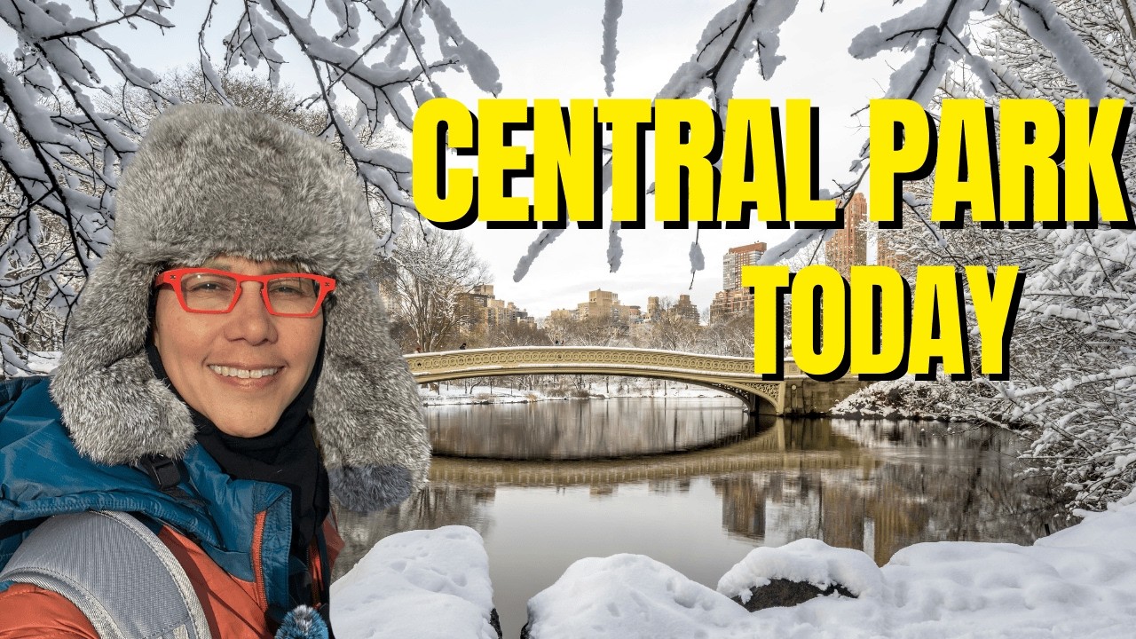 Central Park After The Blizzard