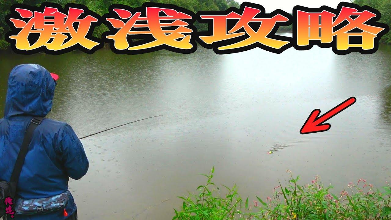 雨が降る池の岸際にルアーを通すと…