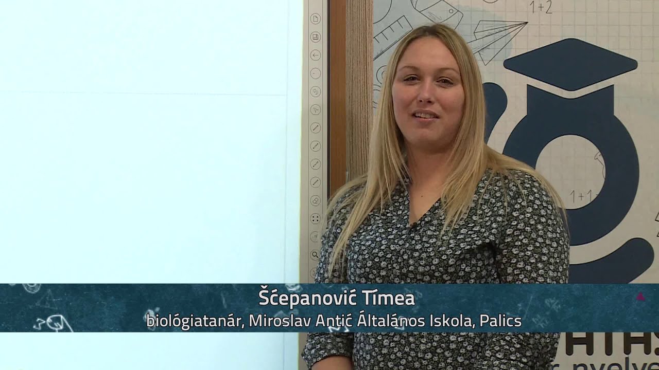 A sejt felépítése