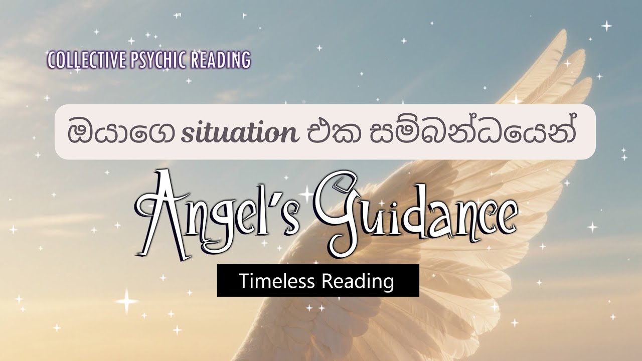 ✨Angels /Spirits Guidance about your situation🦋| Collective Psychic Reading