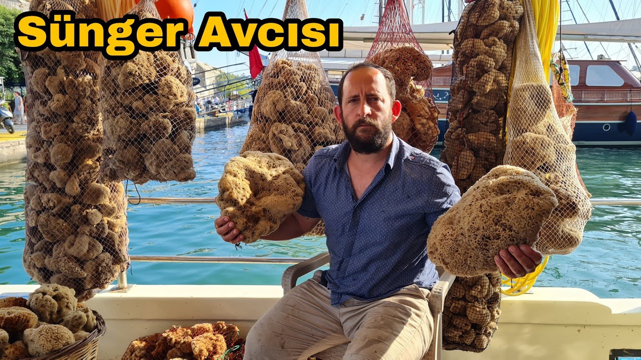 Dünya pazarına kilosu 70 ile 120 eurodan satılıyor / Sünger avcısı