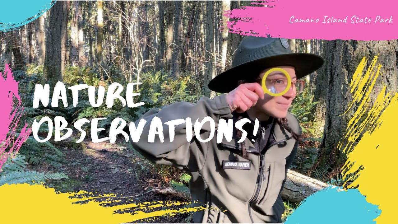 Nature Observations at Camano Island State Park