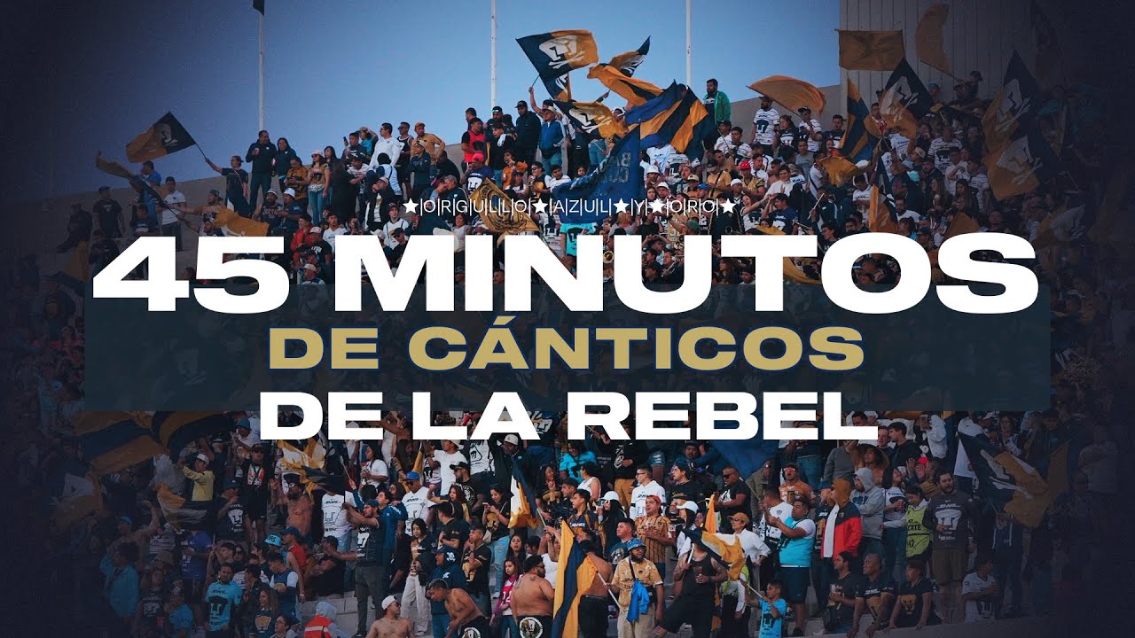 45 minutos de cánticos de la Rebel 🎺🎵🐾