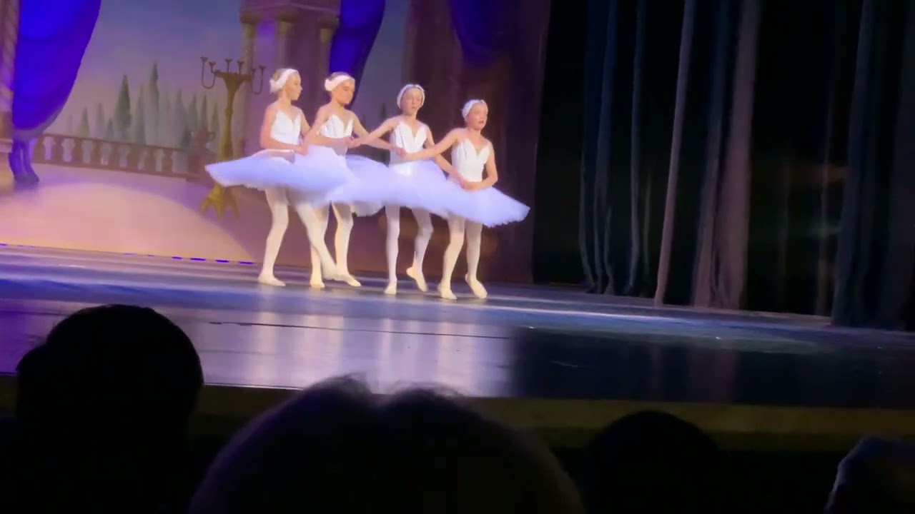 Little Swans