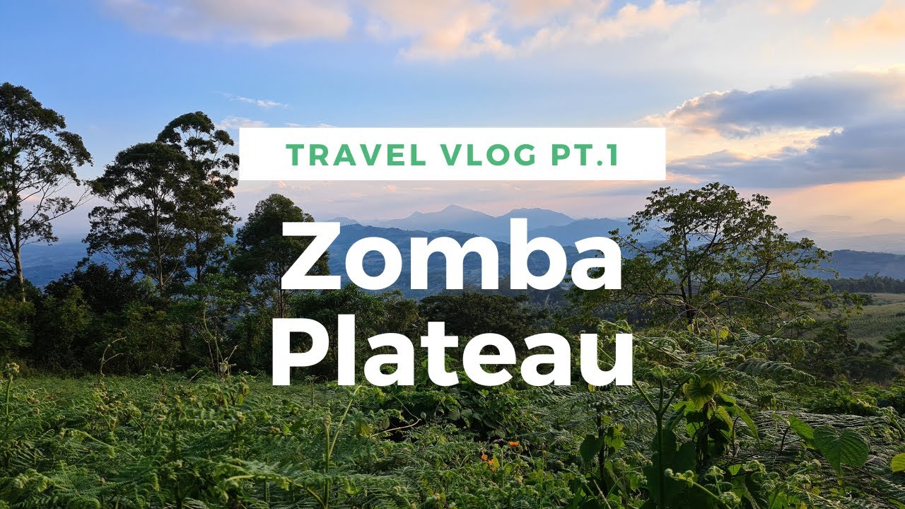Visiting Malawi's NEVER ENDING Tree  I  Zomba Vlog #malawi #africa #africatravel