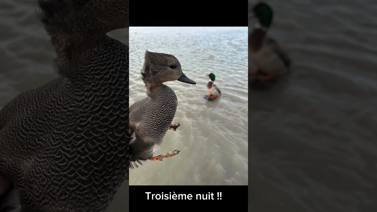 Résumé du mois de décembre 