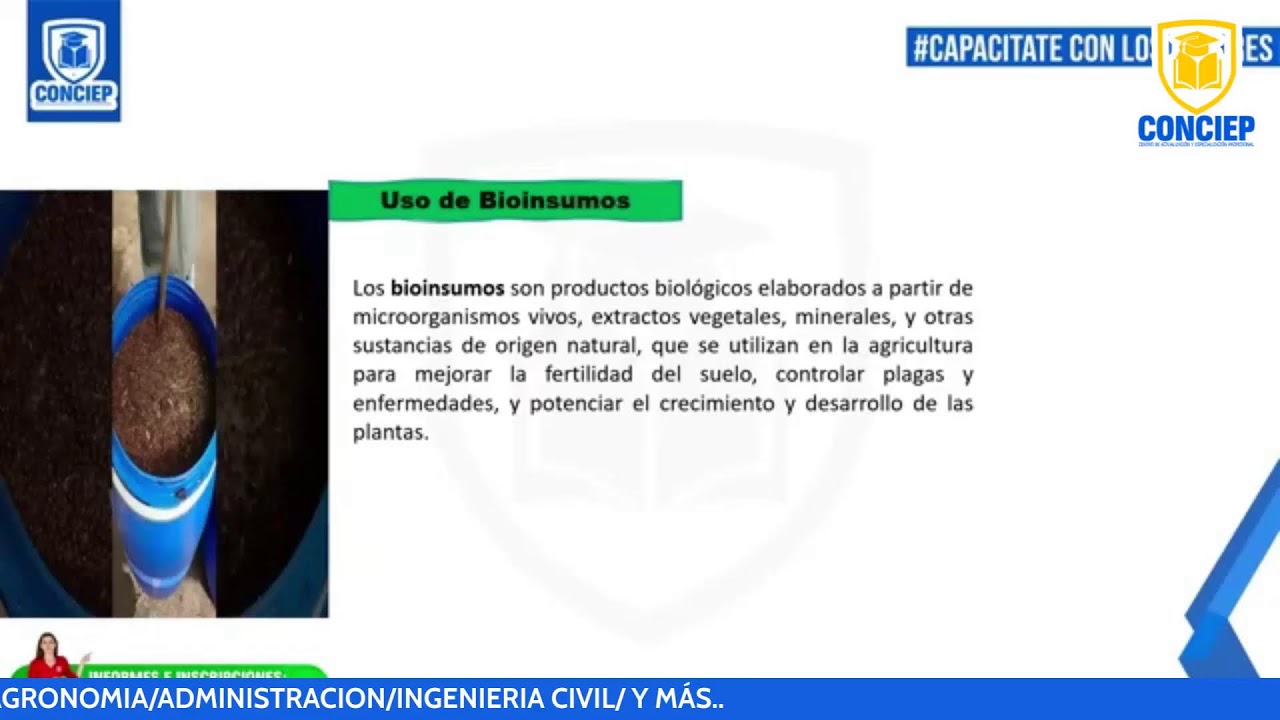 📚𝗖𝗨𝗥𝗦𝗢:MANEJO INTEGRADO DE PLAGAS Y ENFERMEDADES DE PLÁTANO Y BANANO ORGÁNICO📚